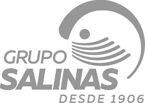 Grupo Salinas